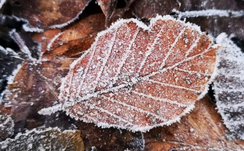 Slim besparen op verwarming in de herfst: zo verlaag je je stookkosten direct